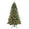7ft. Pre-Lit Springfield Fir Artificial Christmas Tree, Clear LED Lights